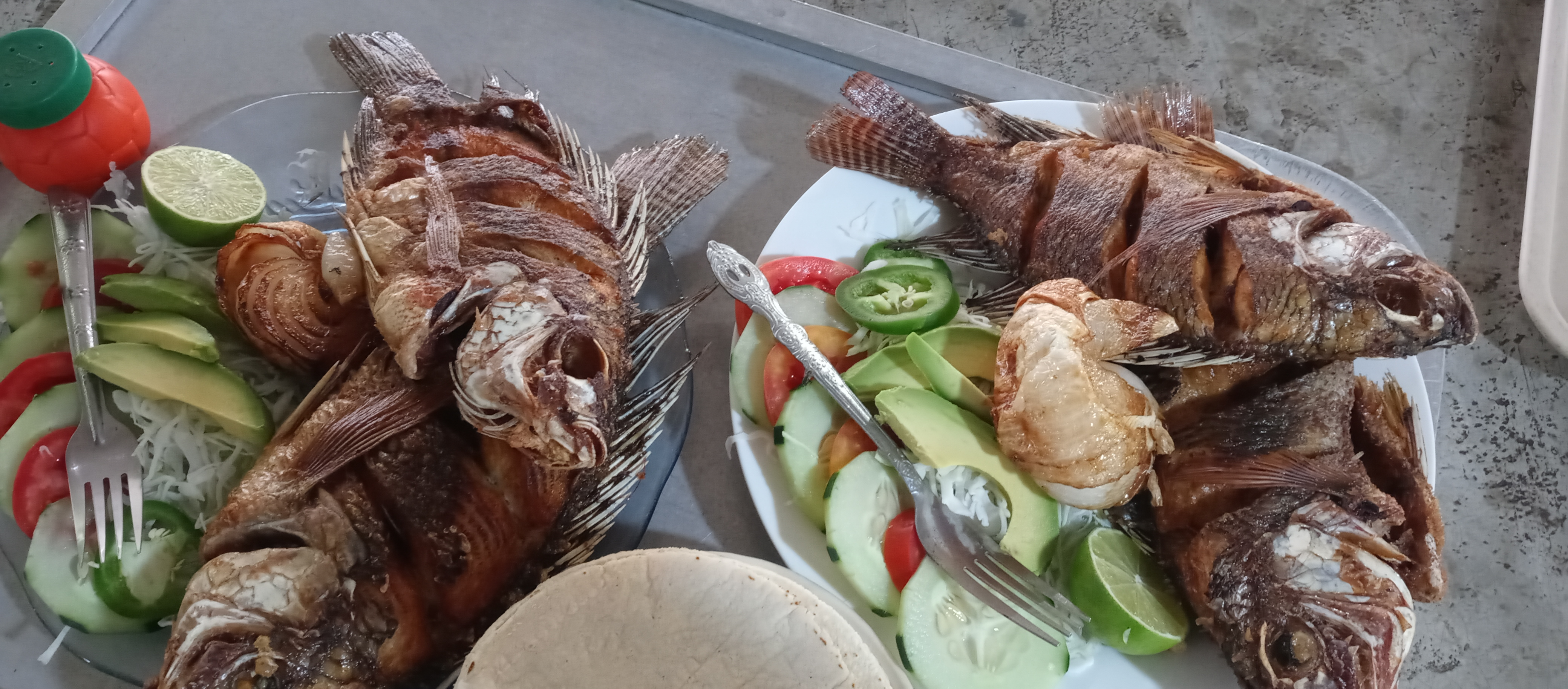 Restauratn doña olgui y las delicias de ruby image 9