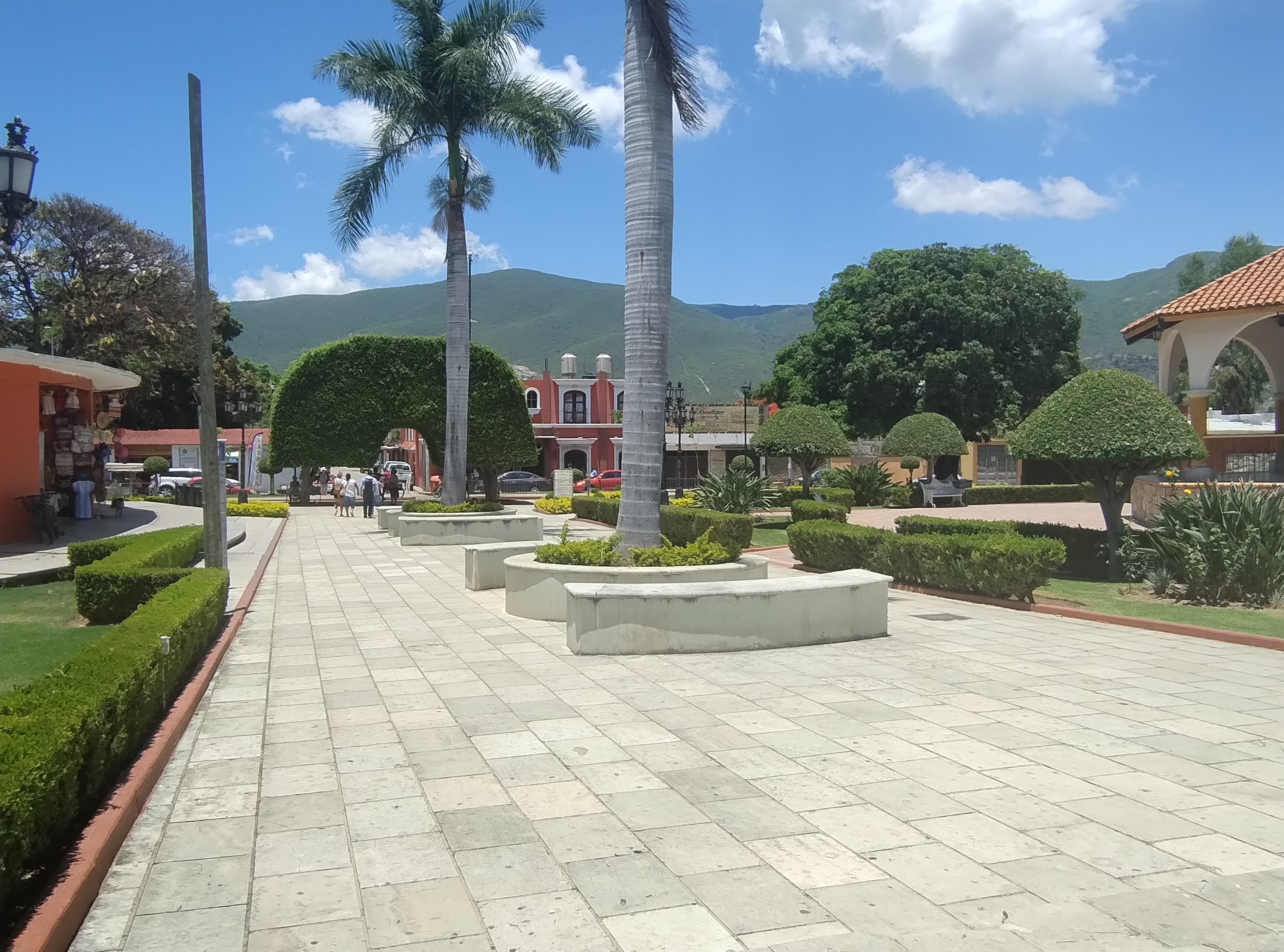 Comedor Francis image 7