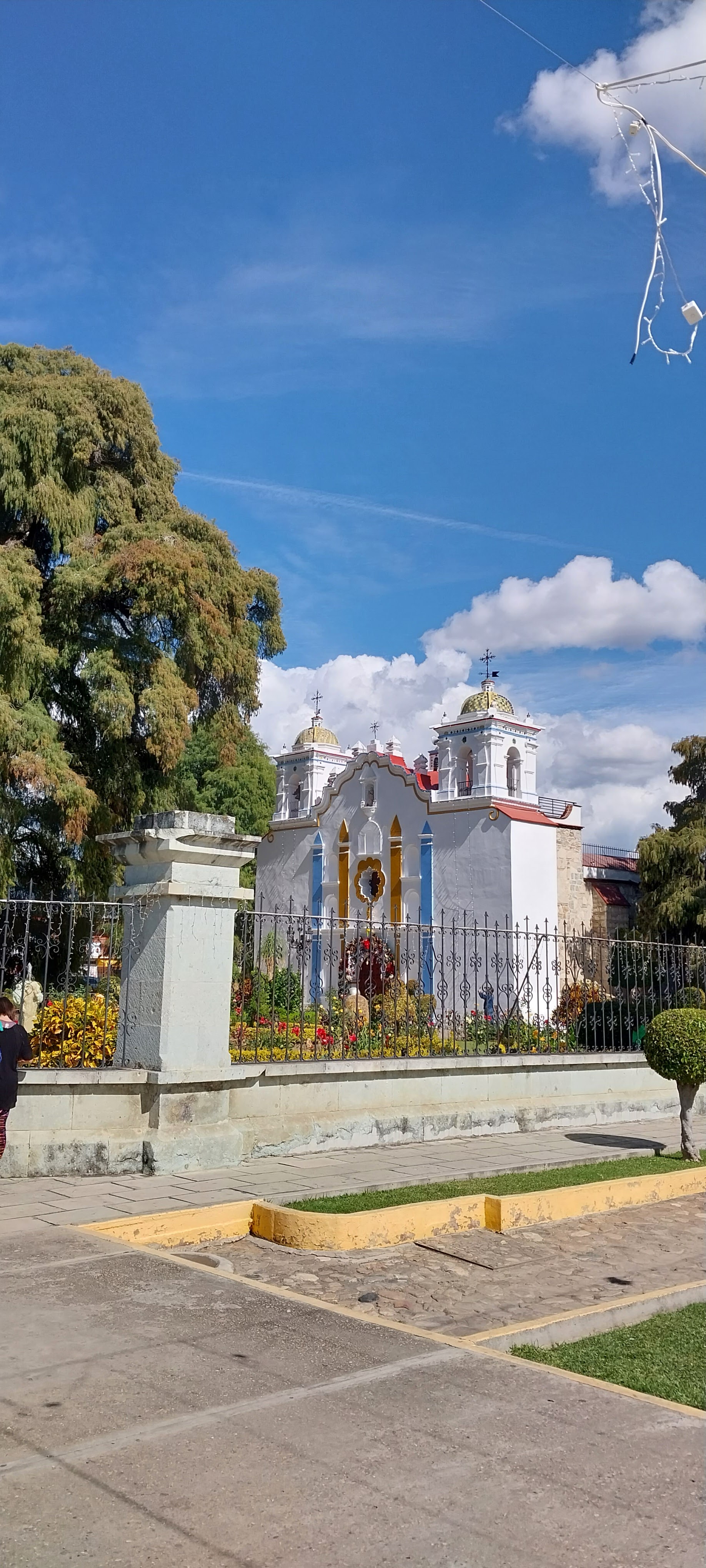 Comedor Francis image 10