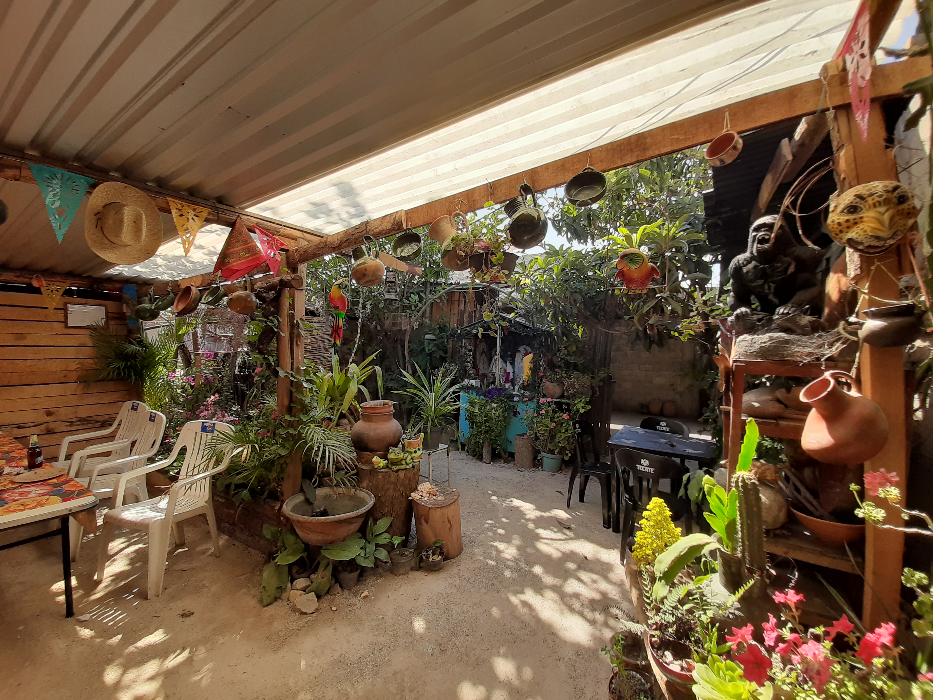 La sazón de la ranita image 1