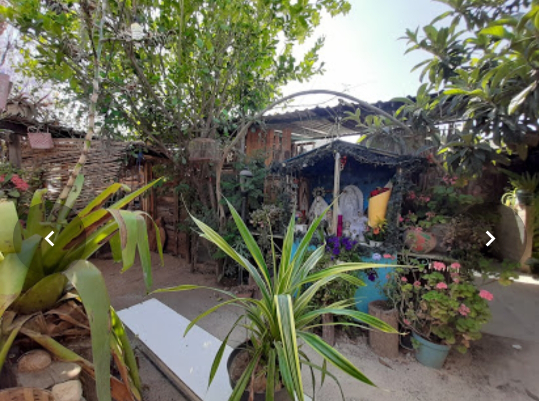 La sazón de la ranita image 5