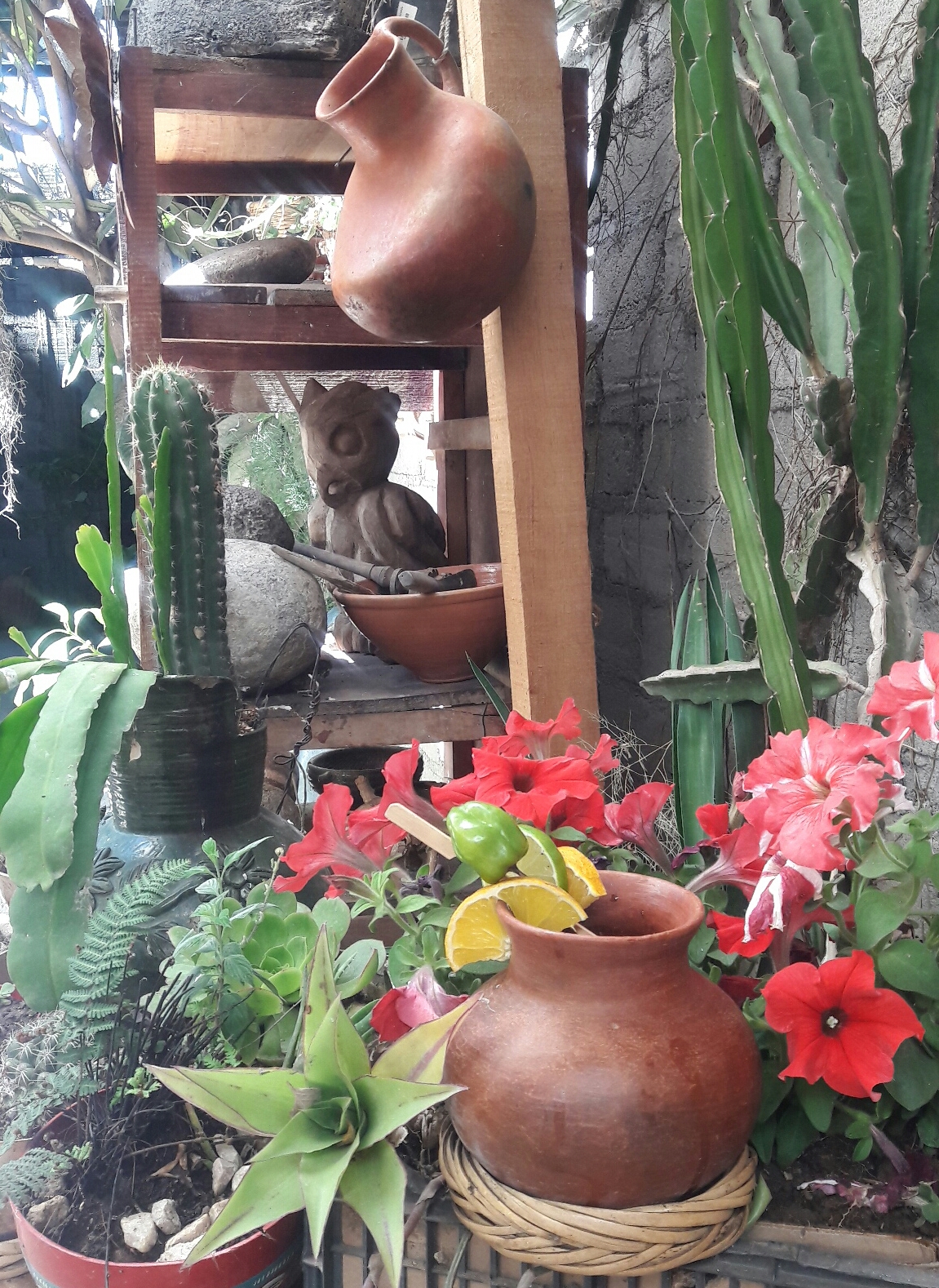 La sazón de la ranita image 6