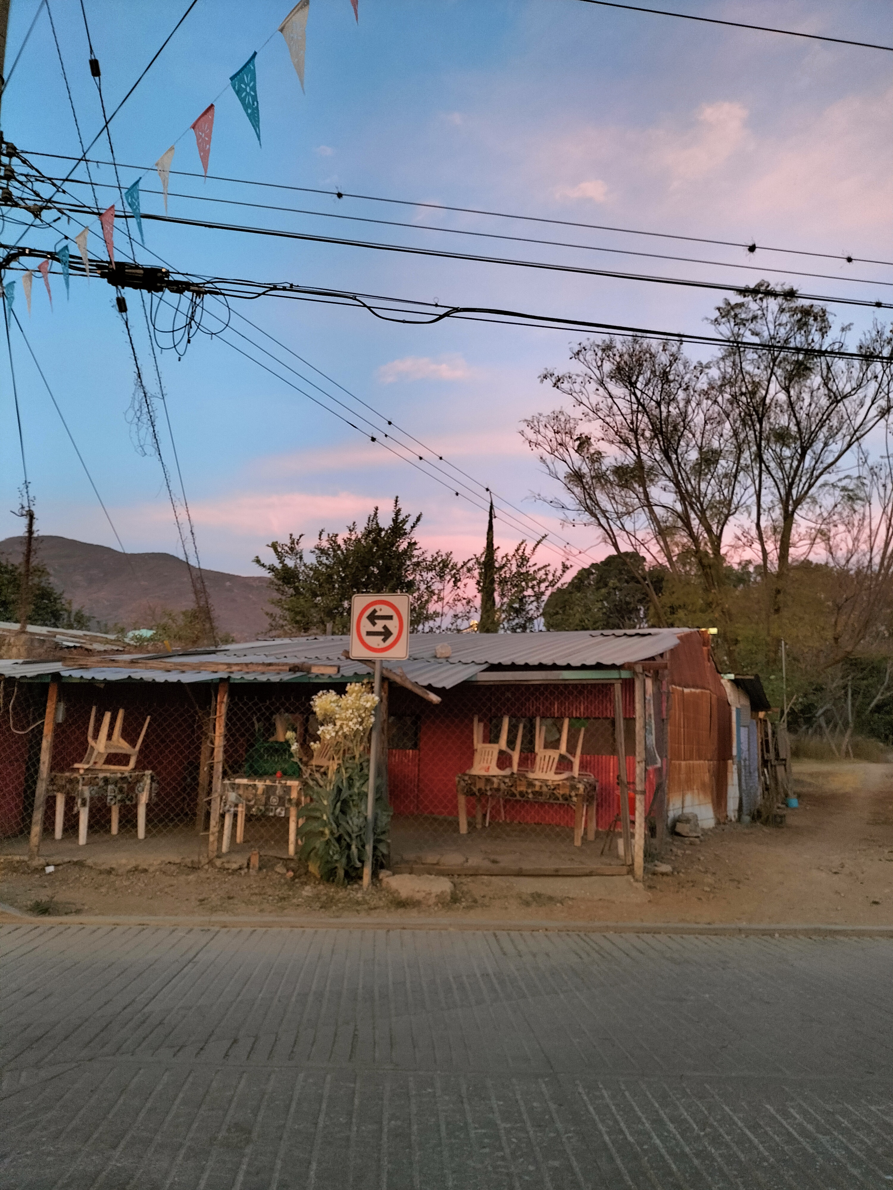 Comedor Paula Azalea image 6