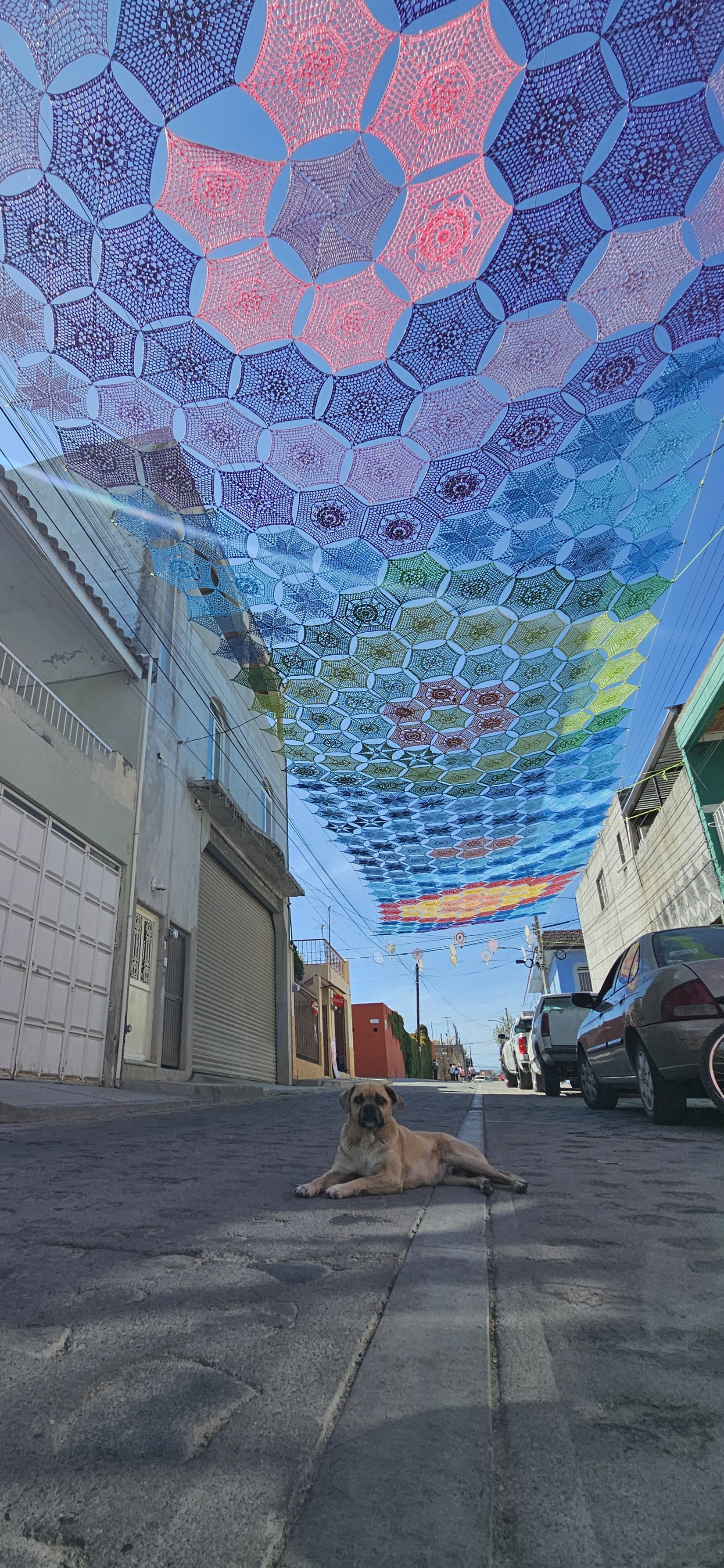 Comida Económica Andrea image 2