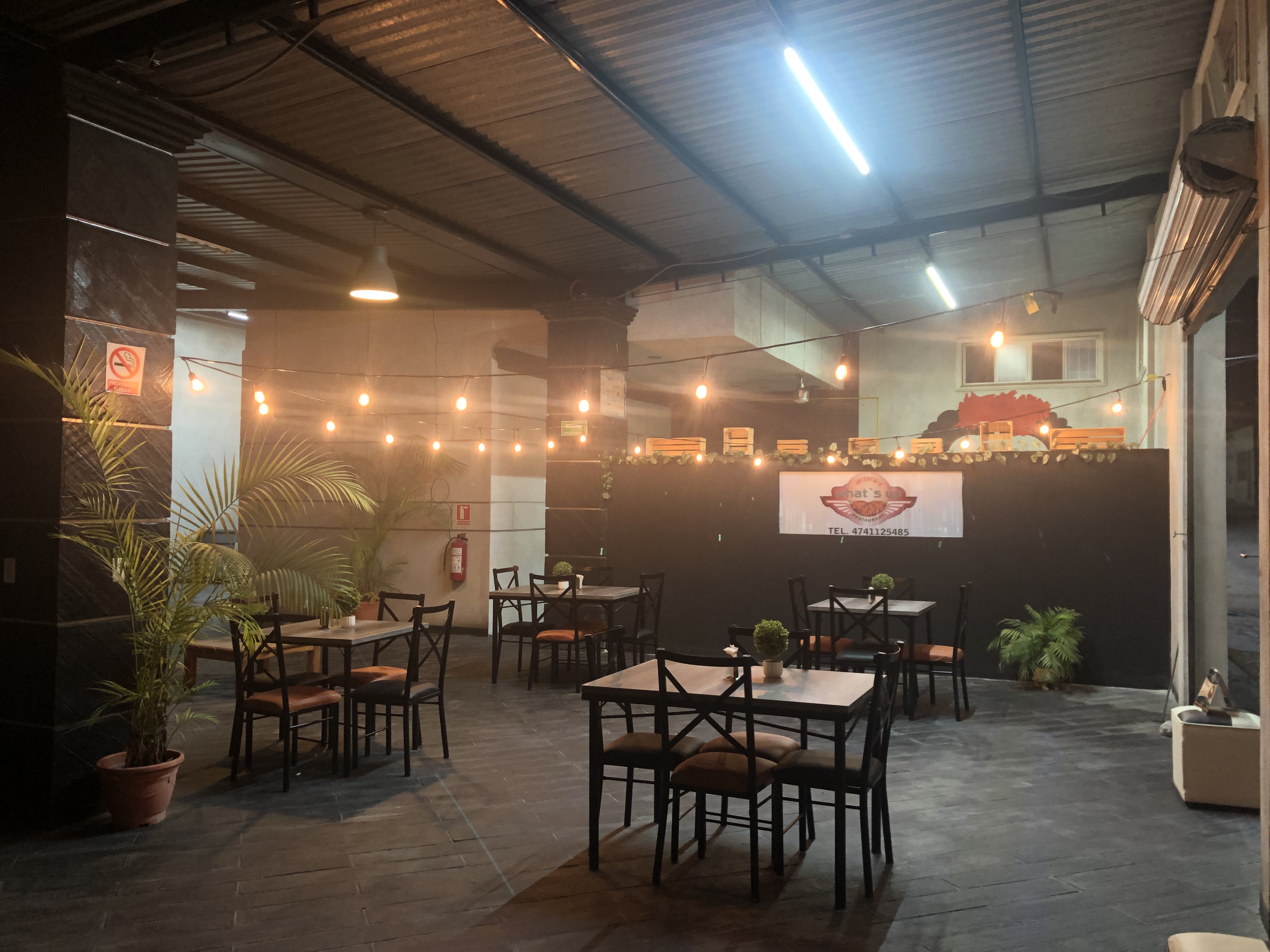 Wings what's up USA image 1