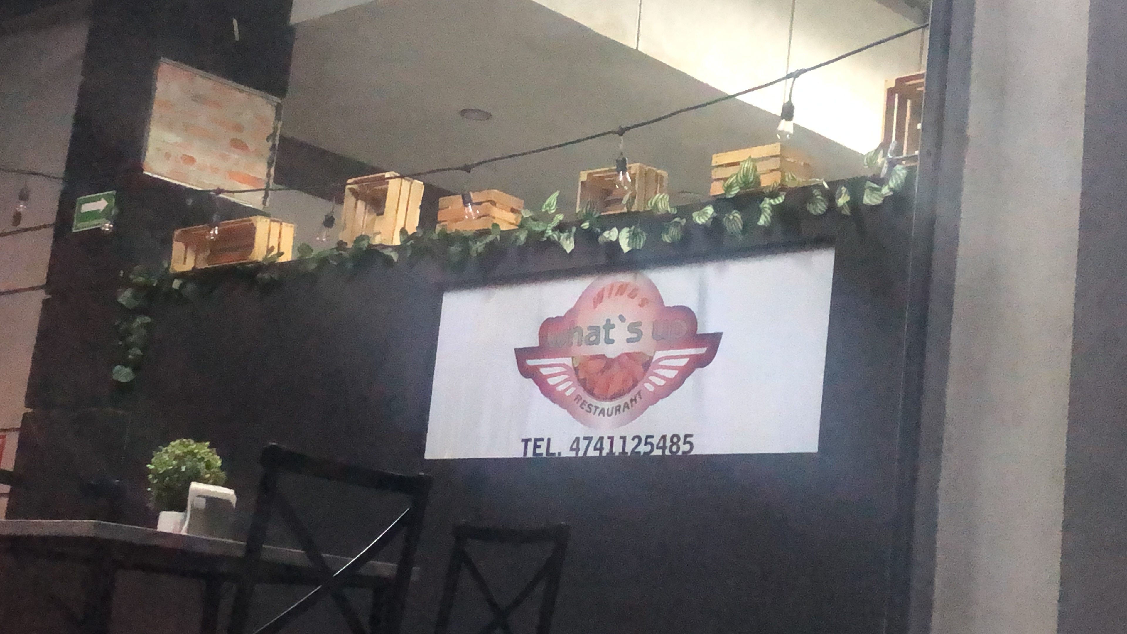 Wings what's up USA image 4