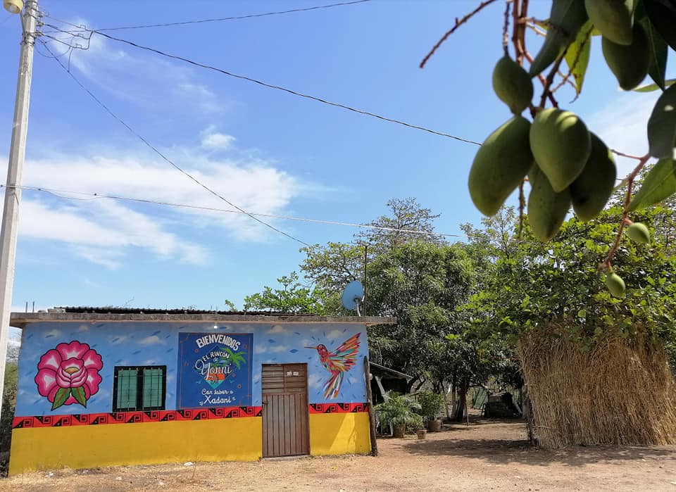 El Rincón de Xadani image 1