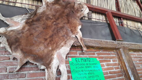 Restaurant de barbacoa EL MIXTECO. image 1