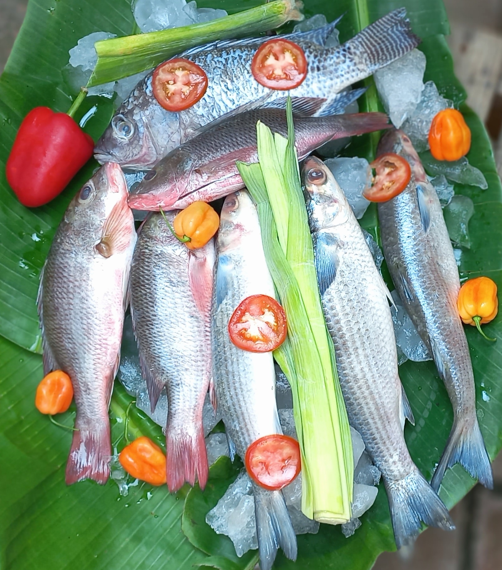 El Tío Capitán | Antojos de Mar image 5