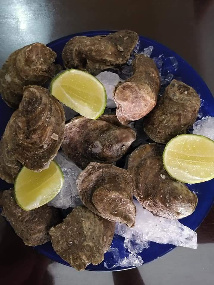 El ostion feliz image 2