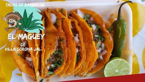 Tacos de Barbacoa El Maguey image 1