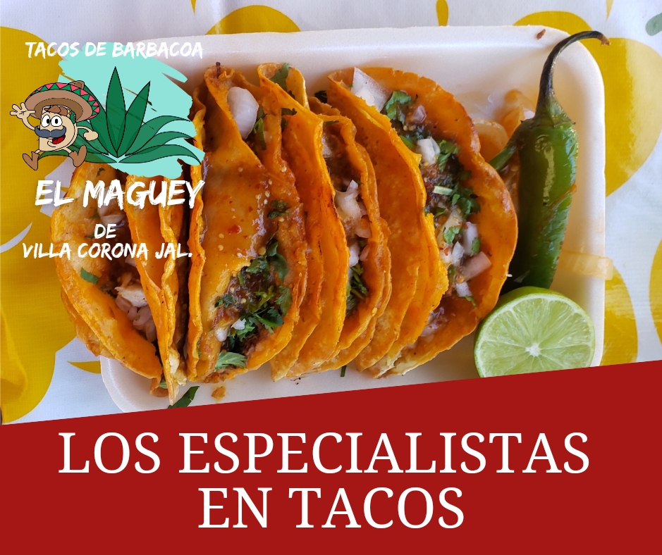 Tacos de Barbacoa El Maguey image 2