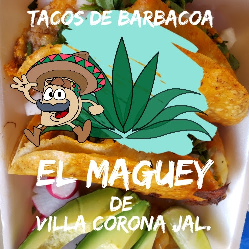 Tacos de Barbacoa El Maguey image 4