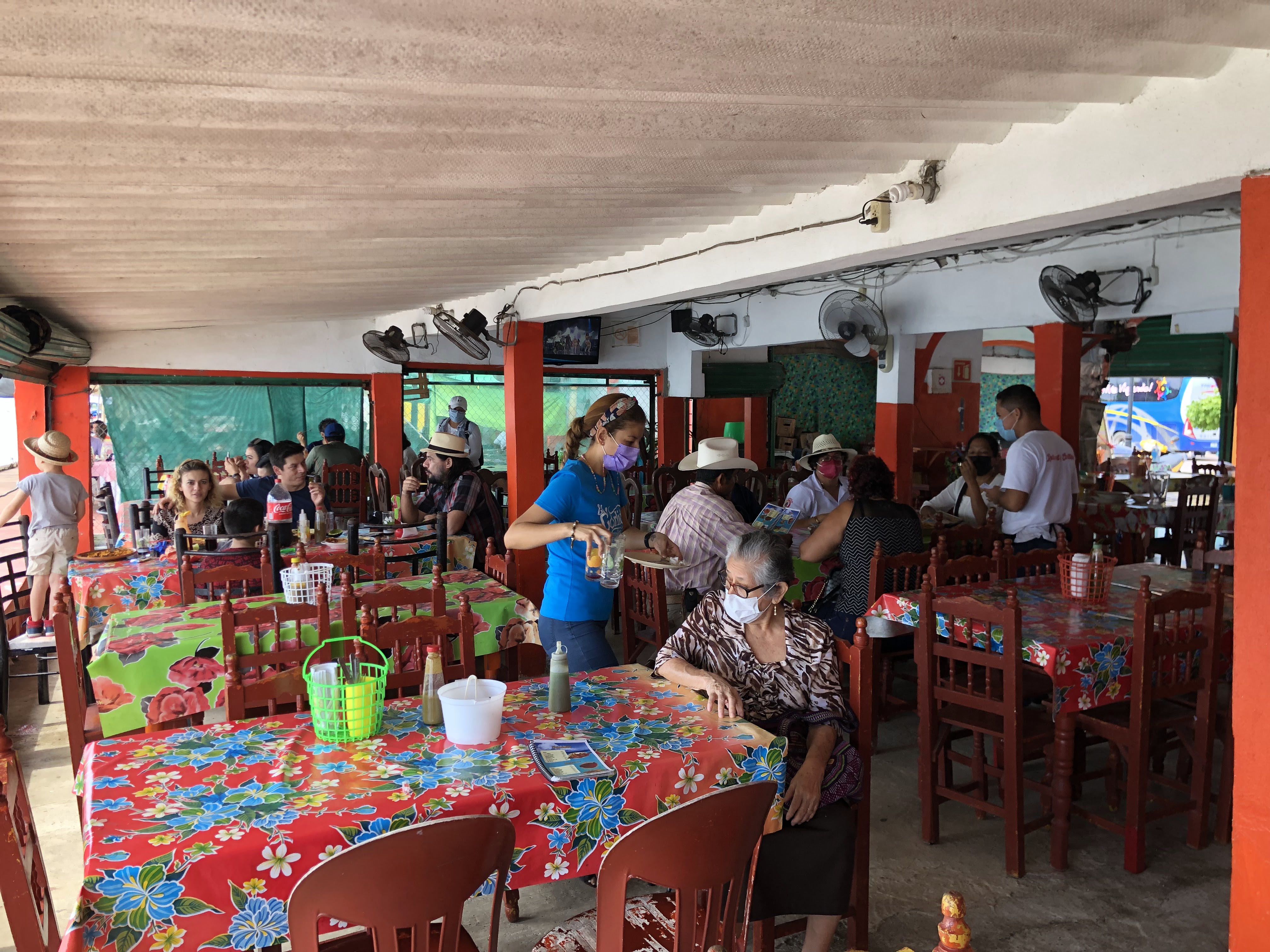 El Garlic’s Sarita image 4