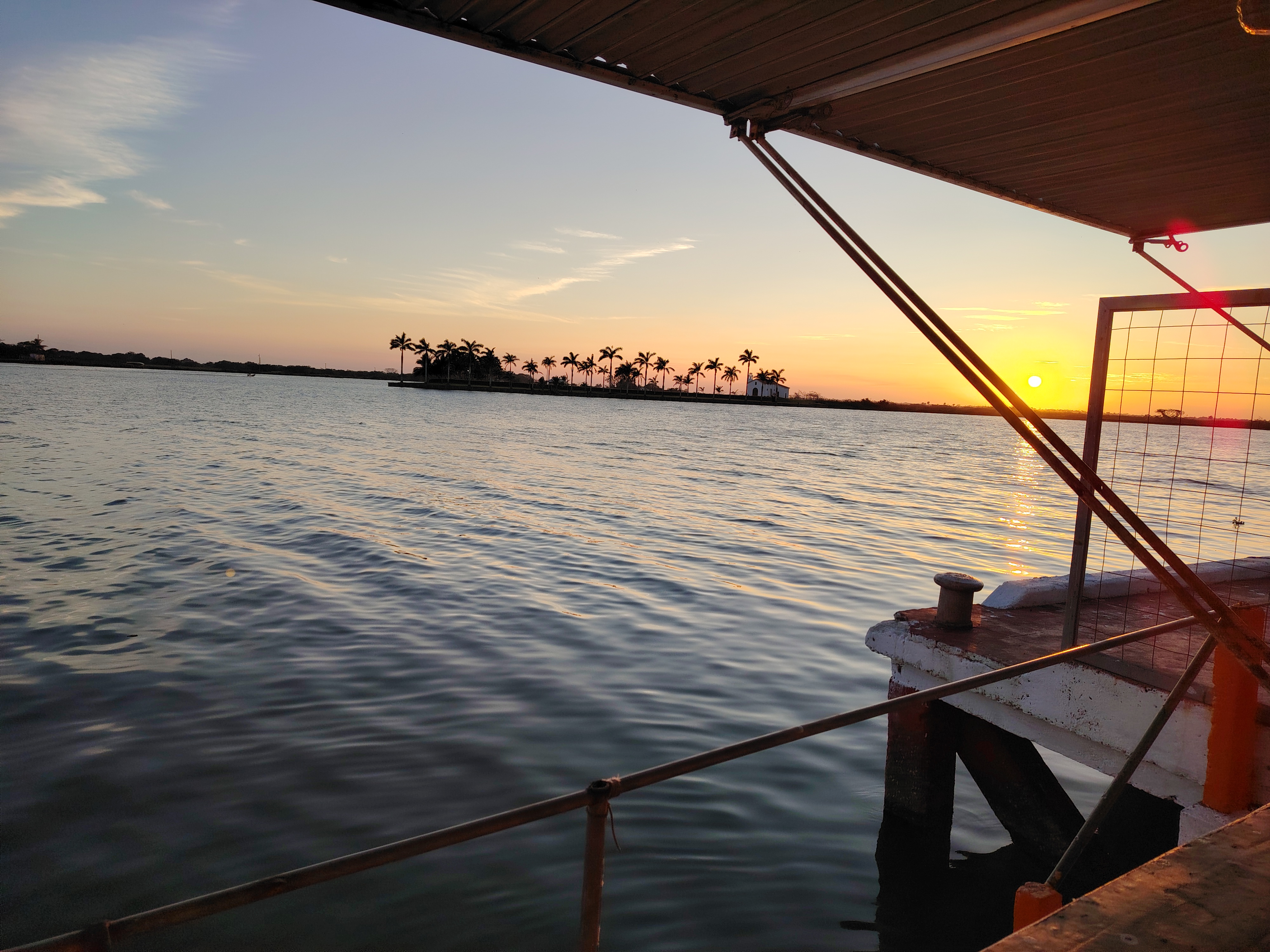 El Garlic’s Sarita image 6