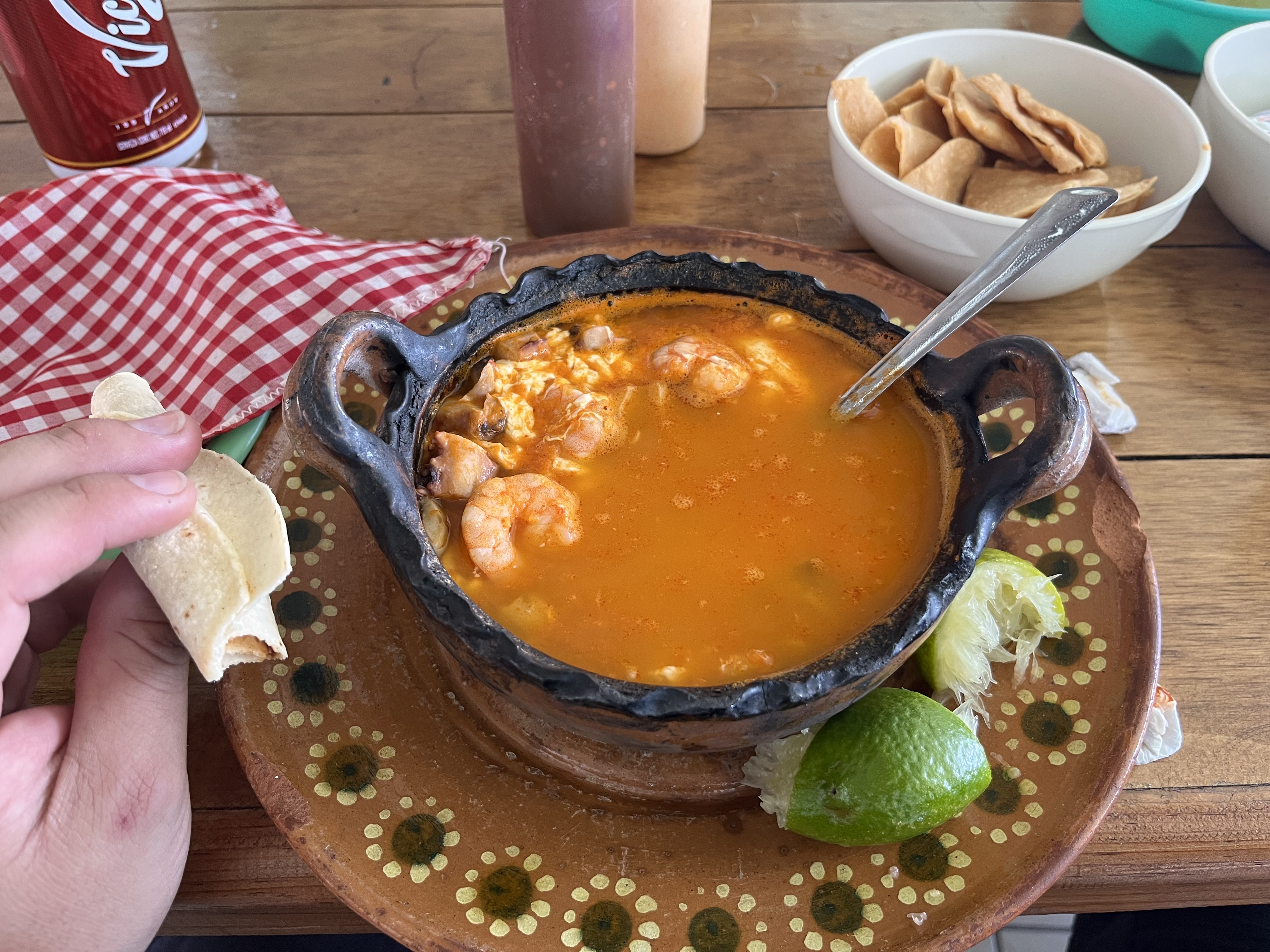 El Garlic’s Sarita image 10