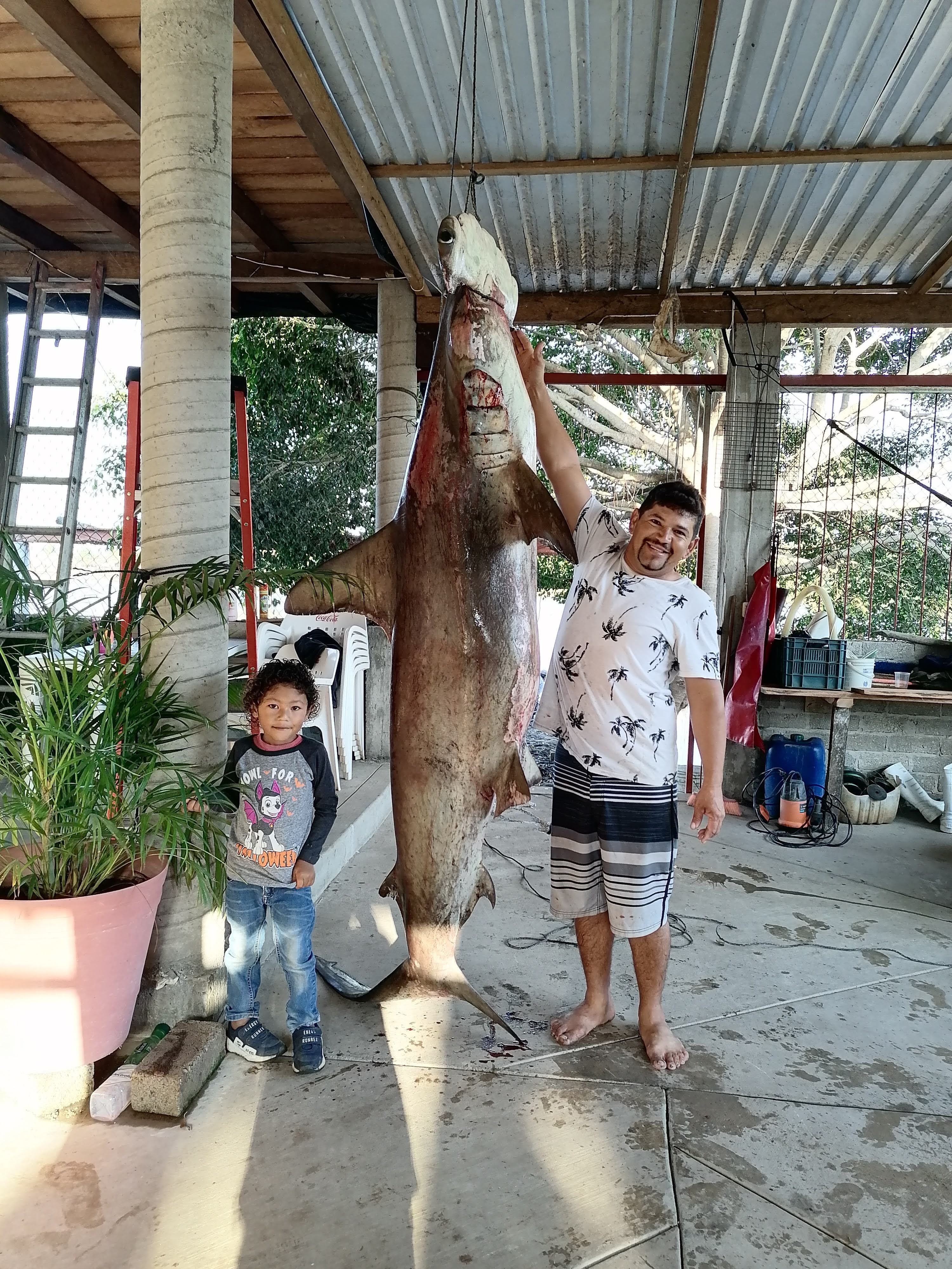 Pescaderia rivera del río image 4