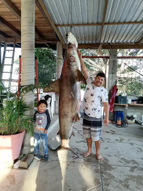 Pescaderia rivera del río image 4