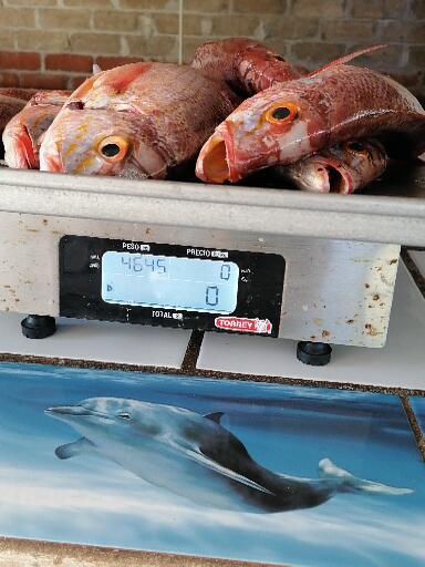 Pescaderia rivera del río image 5