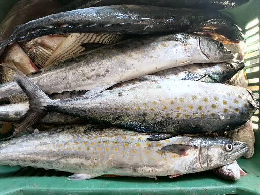 Pescaderia rivera del río image 6