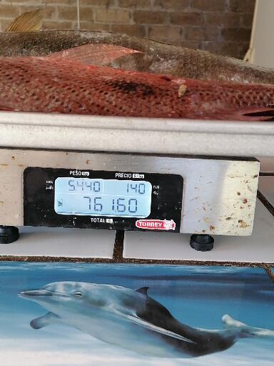 Pescaderia rivera del río image 9