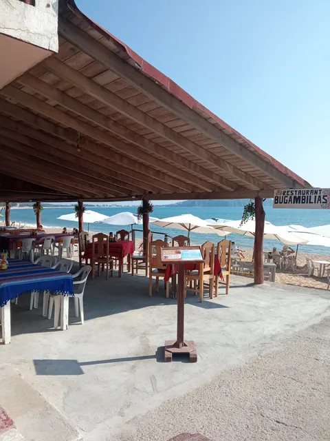 Bugambilias image 7