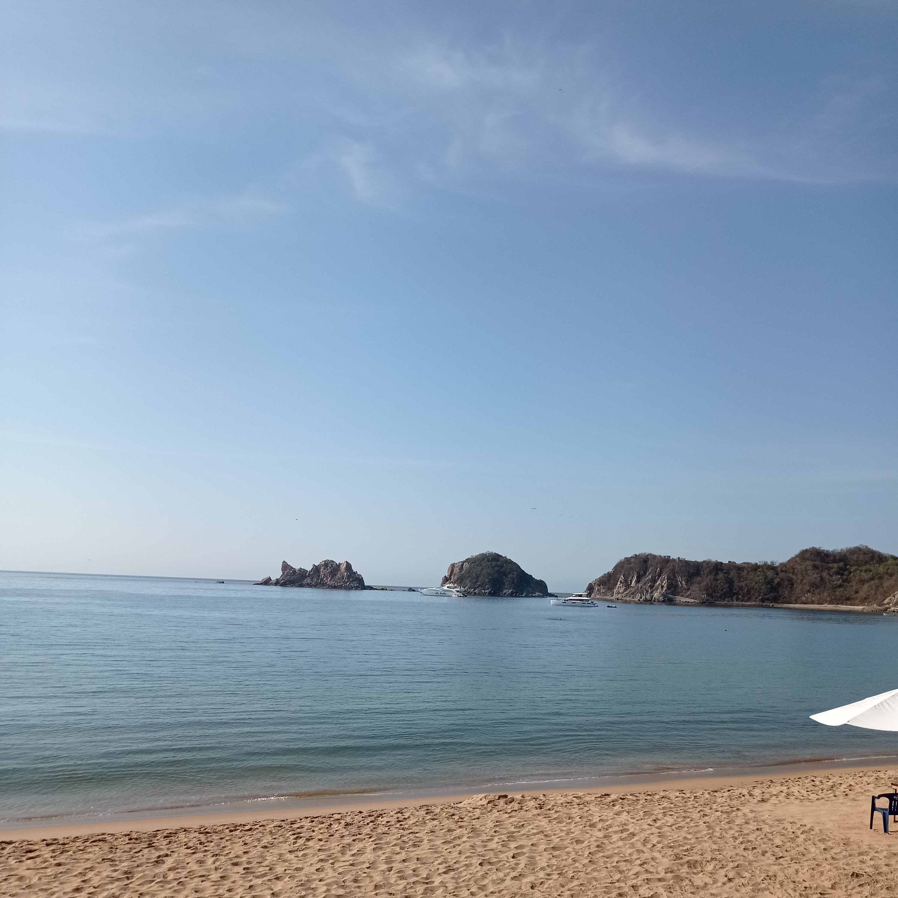 Restaurante Las Palmas image 3