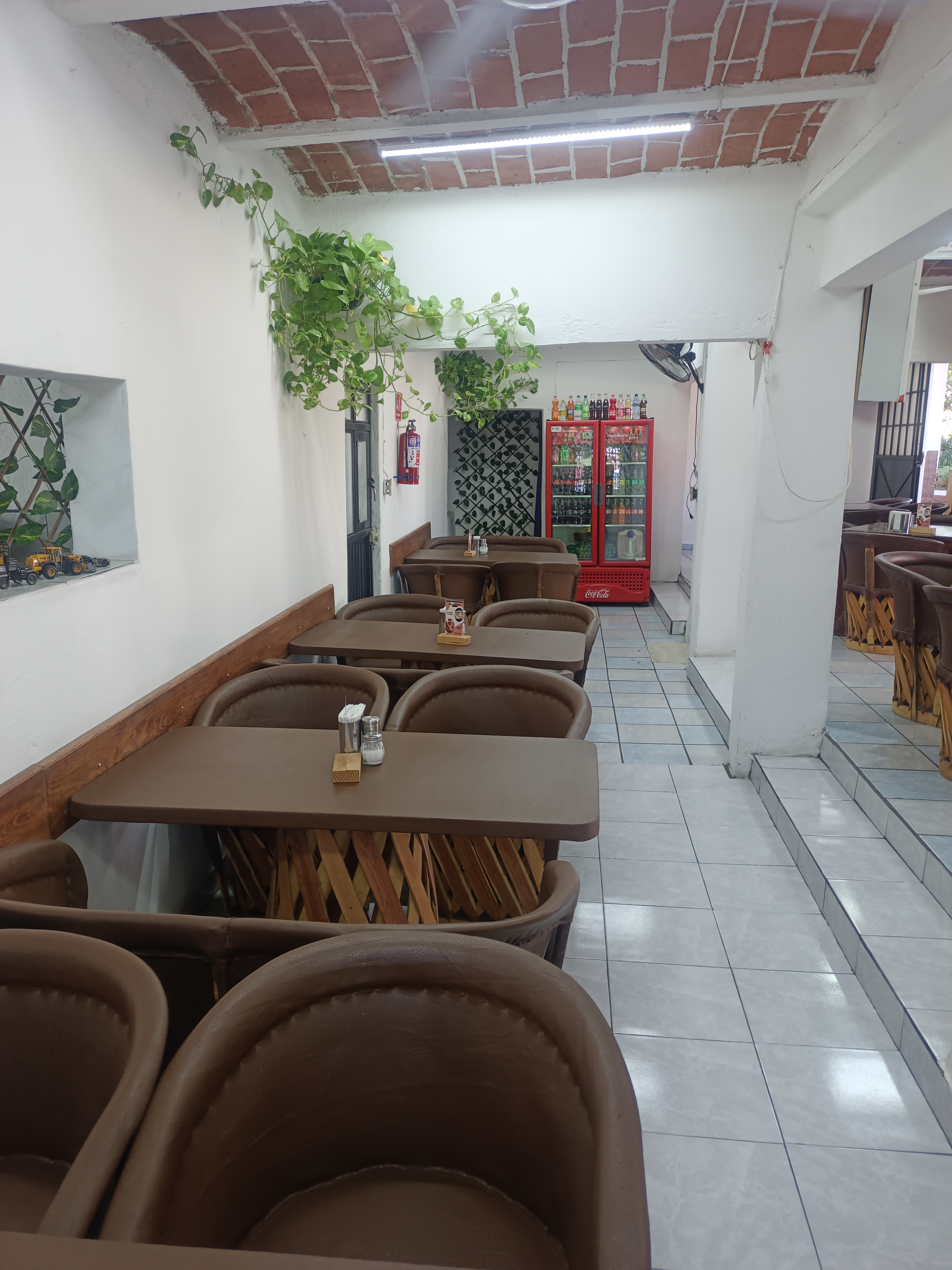 Ahogadas mi Karnal ,suc el verde image 3