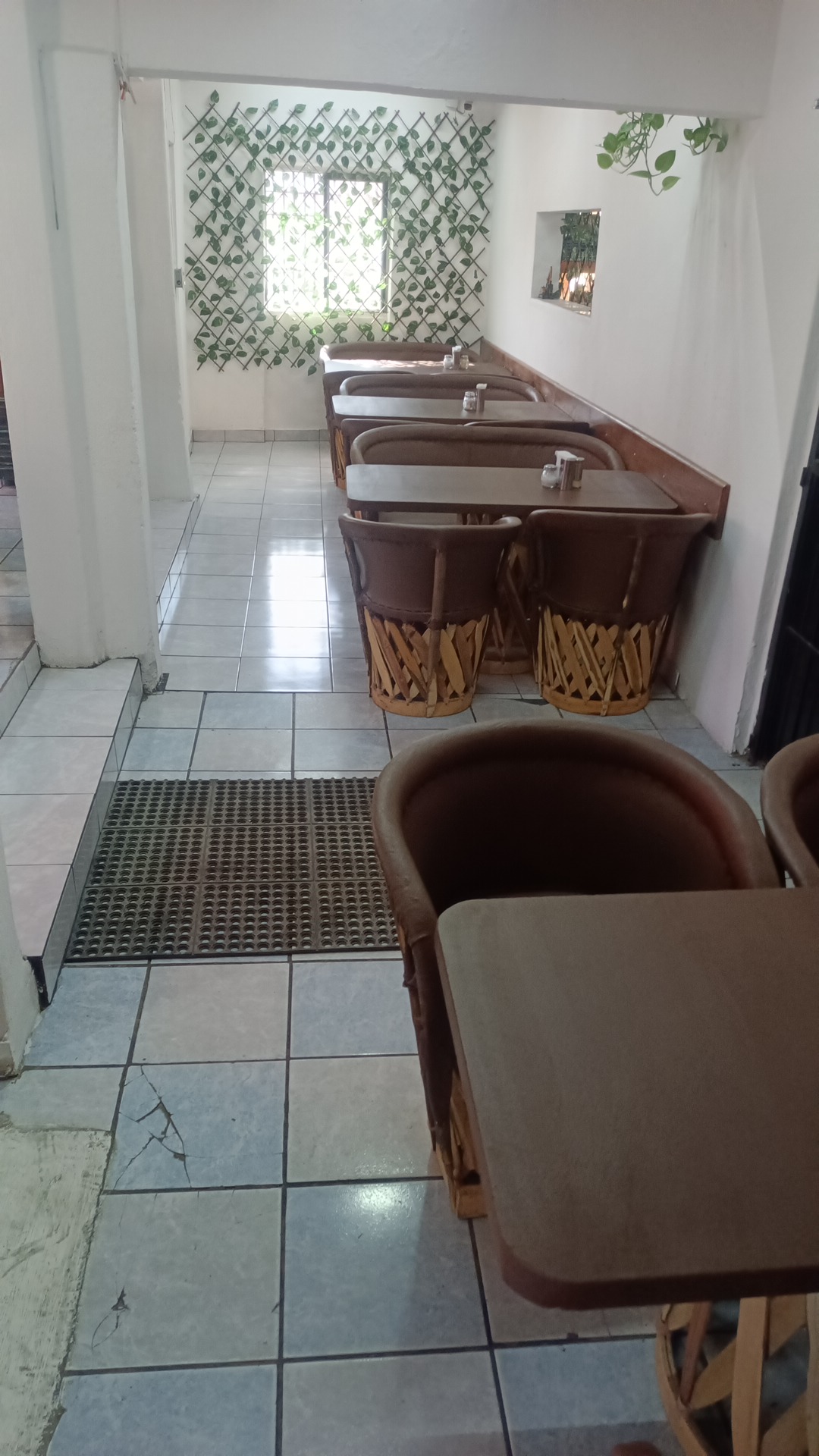 Ahogadas mi Karnal ,suc el verde image 7