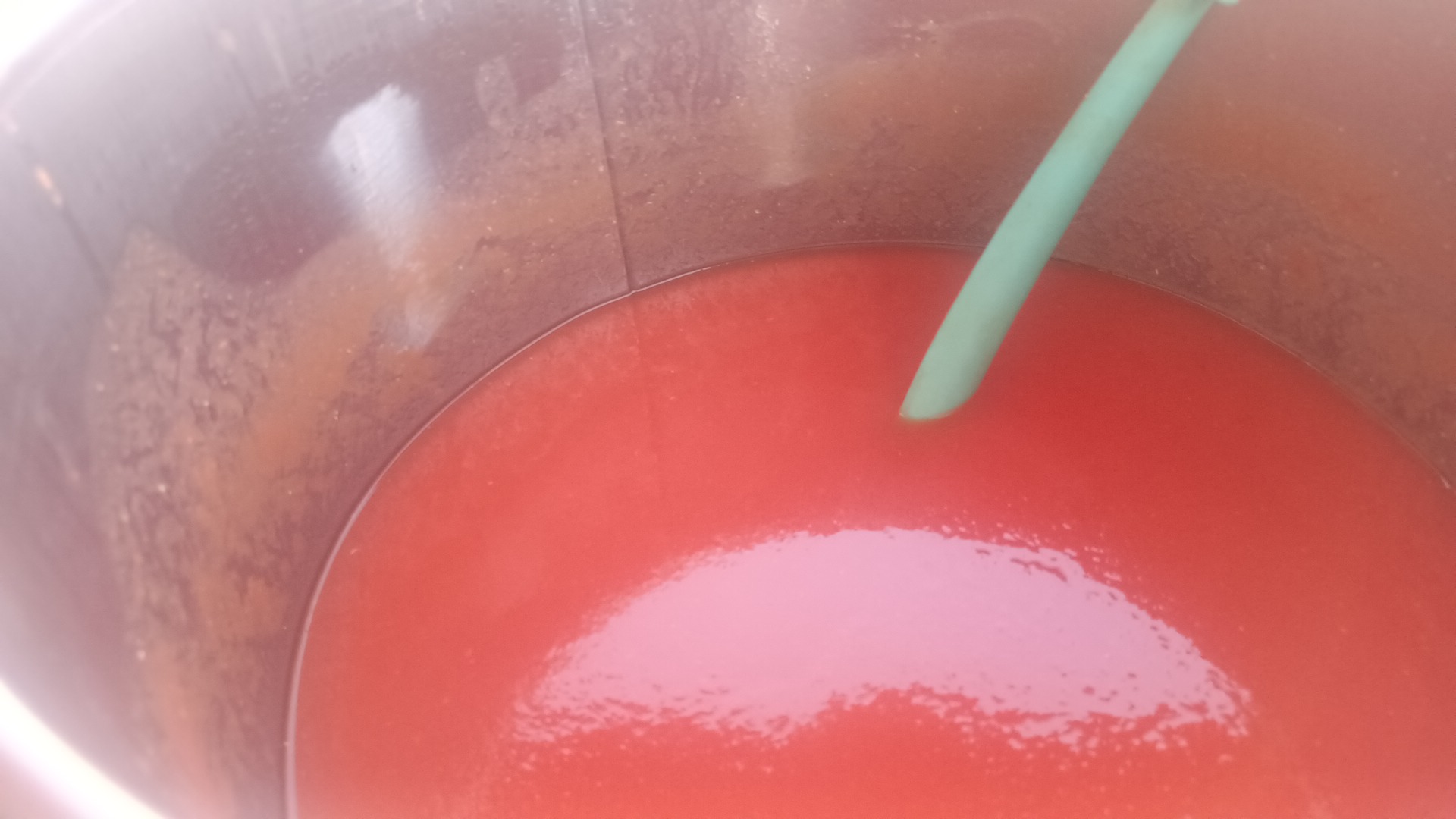 Ahogadas mi Karnal ,suc el verde image 9