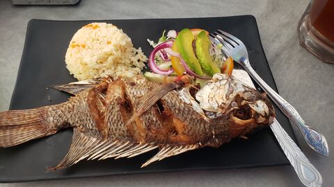 Mariscos El Delfin image 6