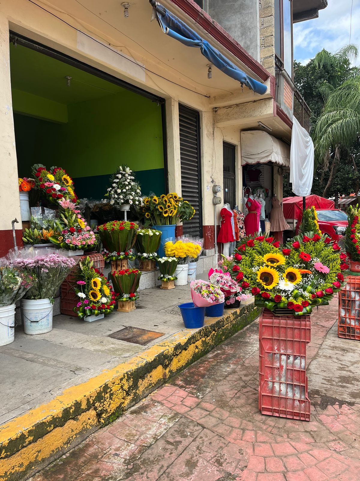 Taquería La Saiba image 8