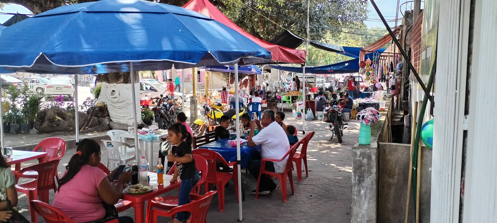 Taquería La Saiba image 9