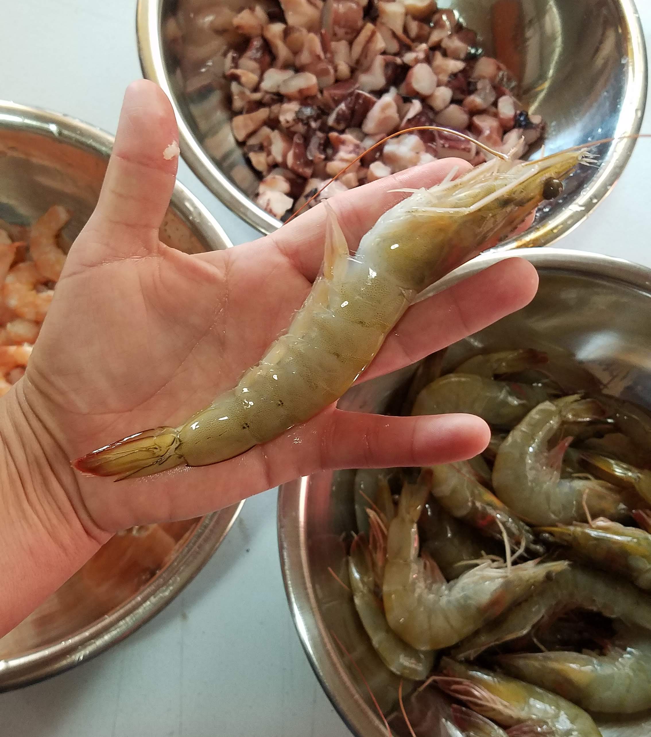 La Jaquesita image 7