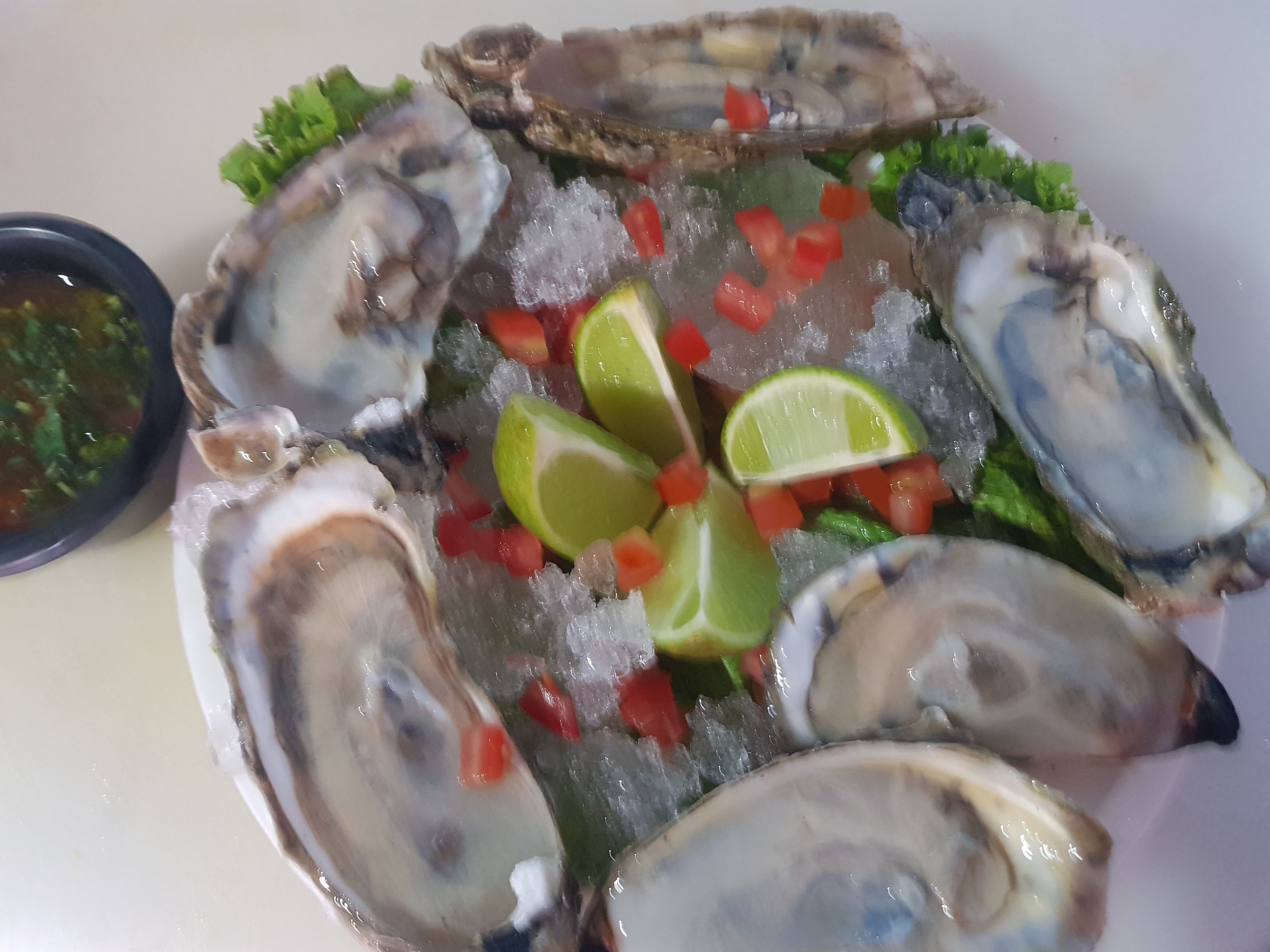 La Jaquesita image 9