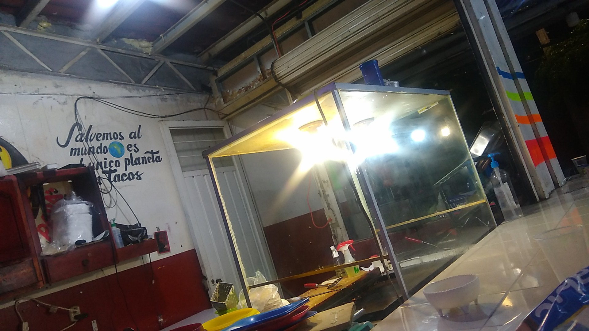 TAQUERIA "EL PAPA" image 1