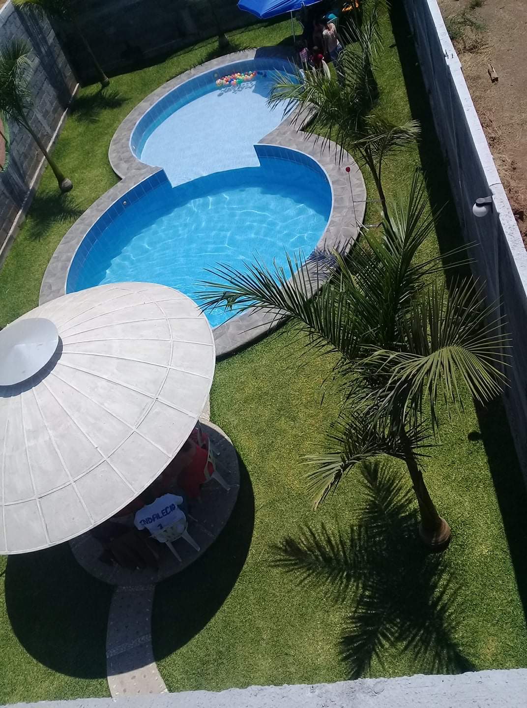 Restaurante La Orquídea image 4