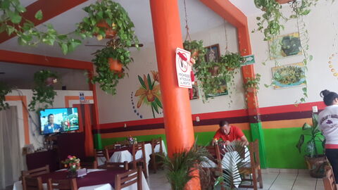 Restaurante La Orquídea image 5