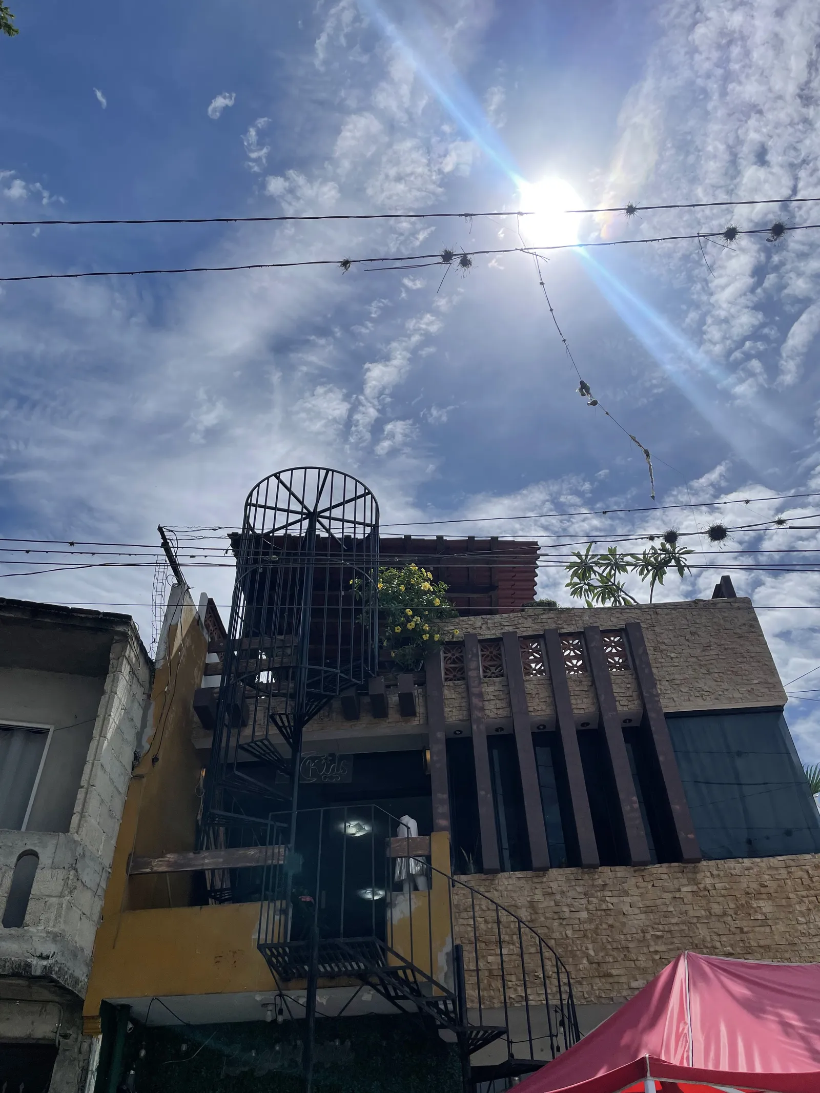 Planta Alta image 7
