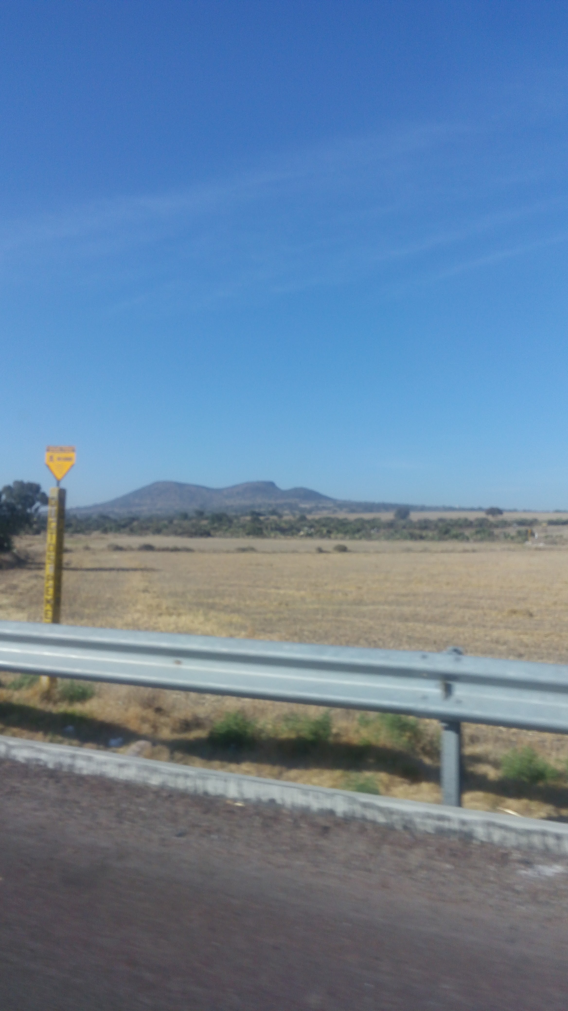 Barbacoa Don Leonardo image 8