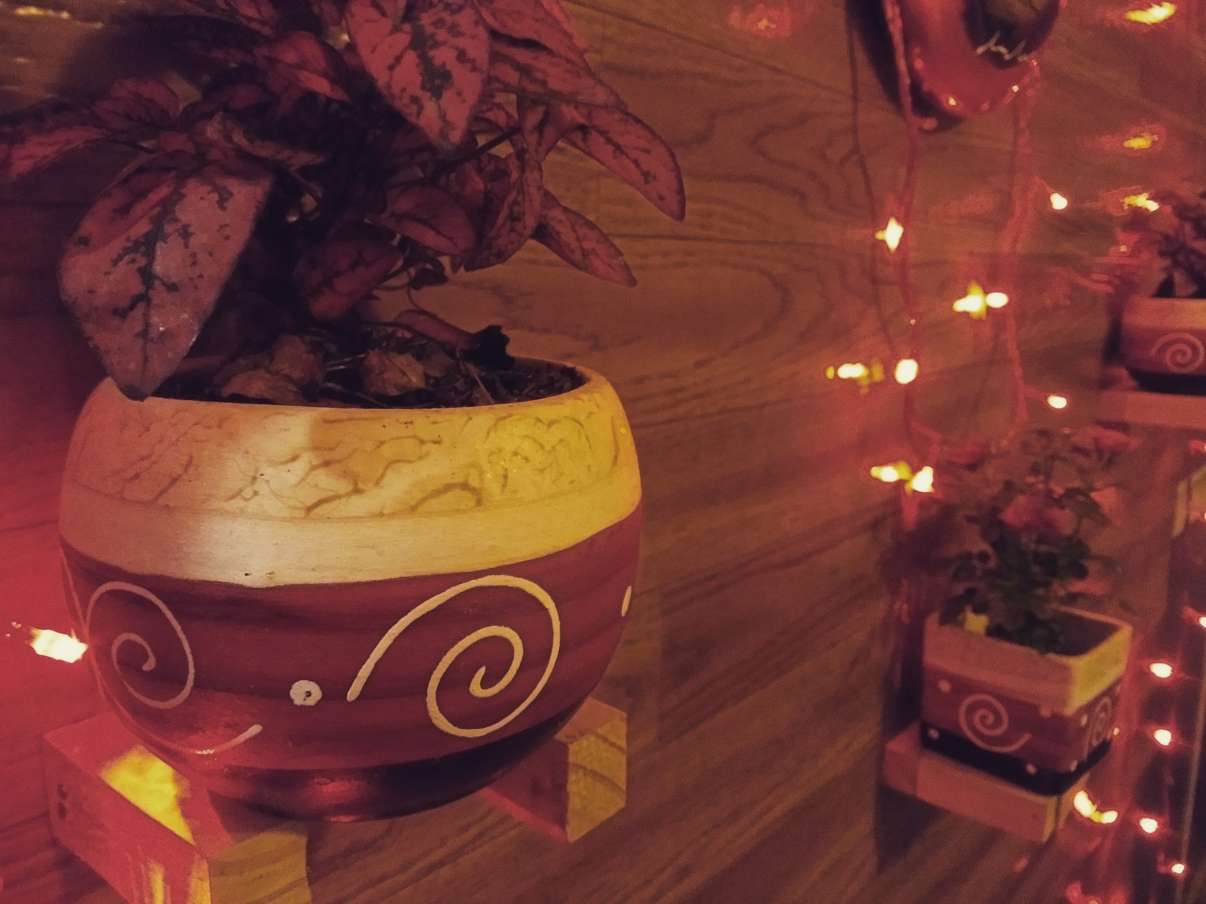 Pizzeria saljes image 3