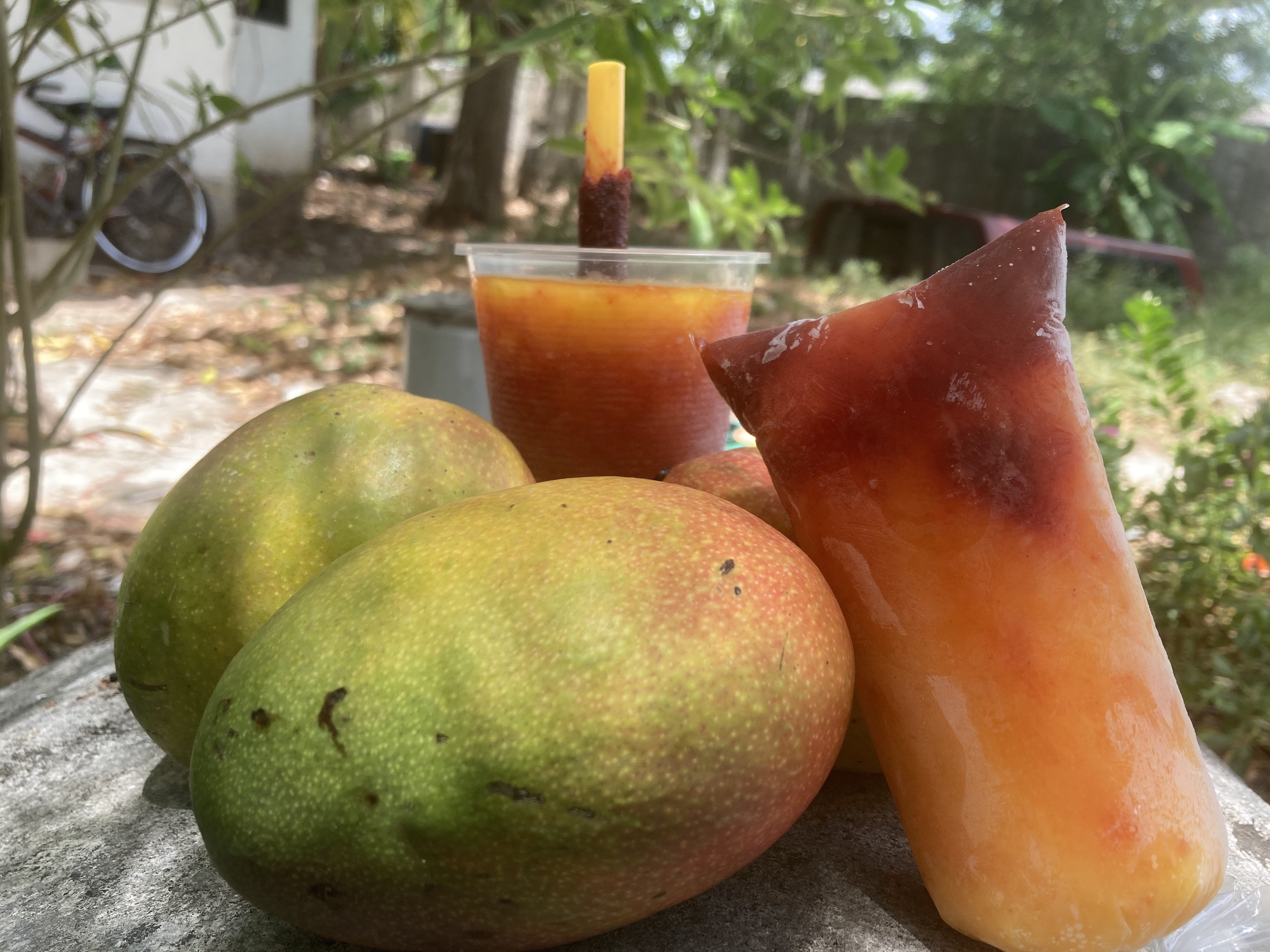 Bolis Gourmet Danny image 2