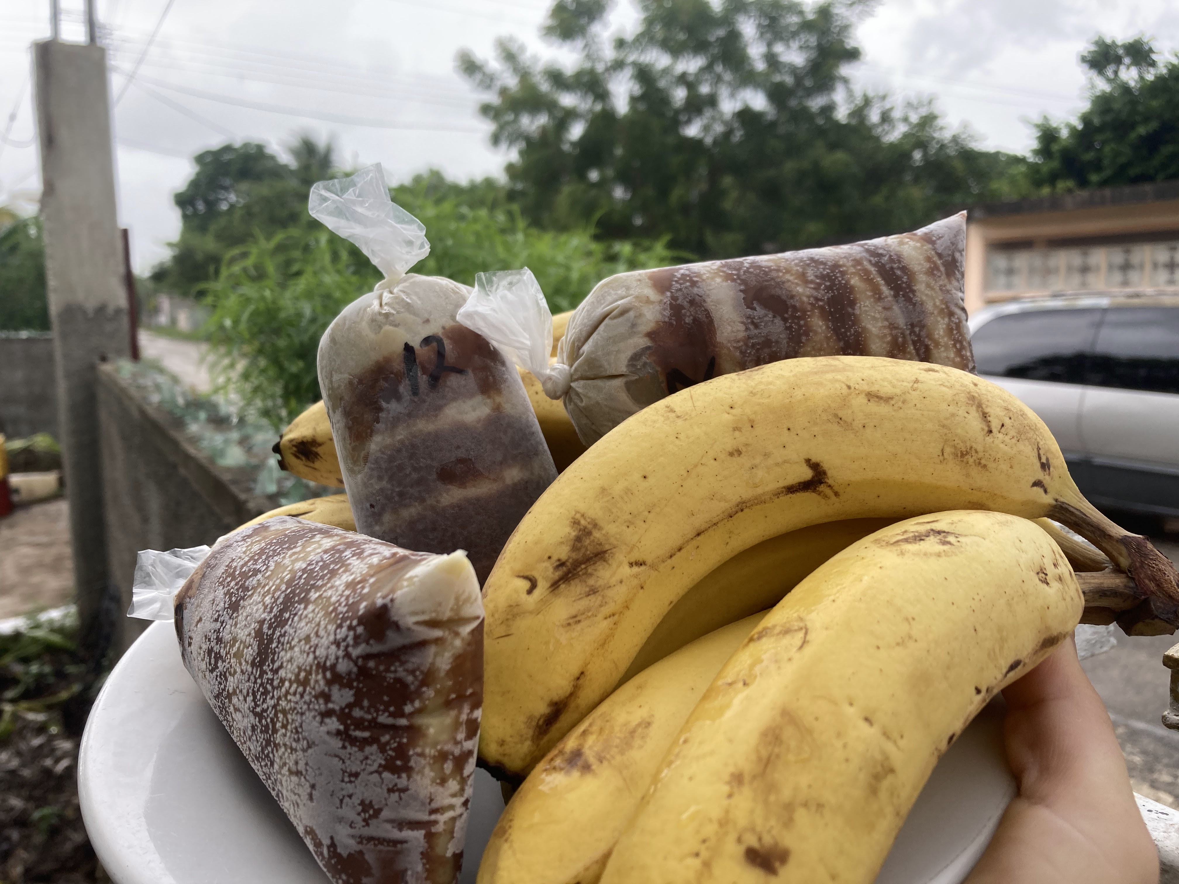 Bolis Gourmet Danny image 5