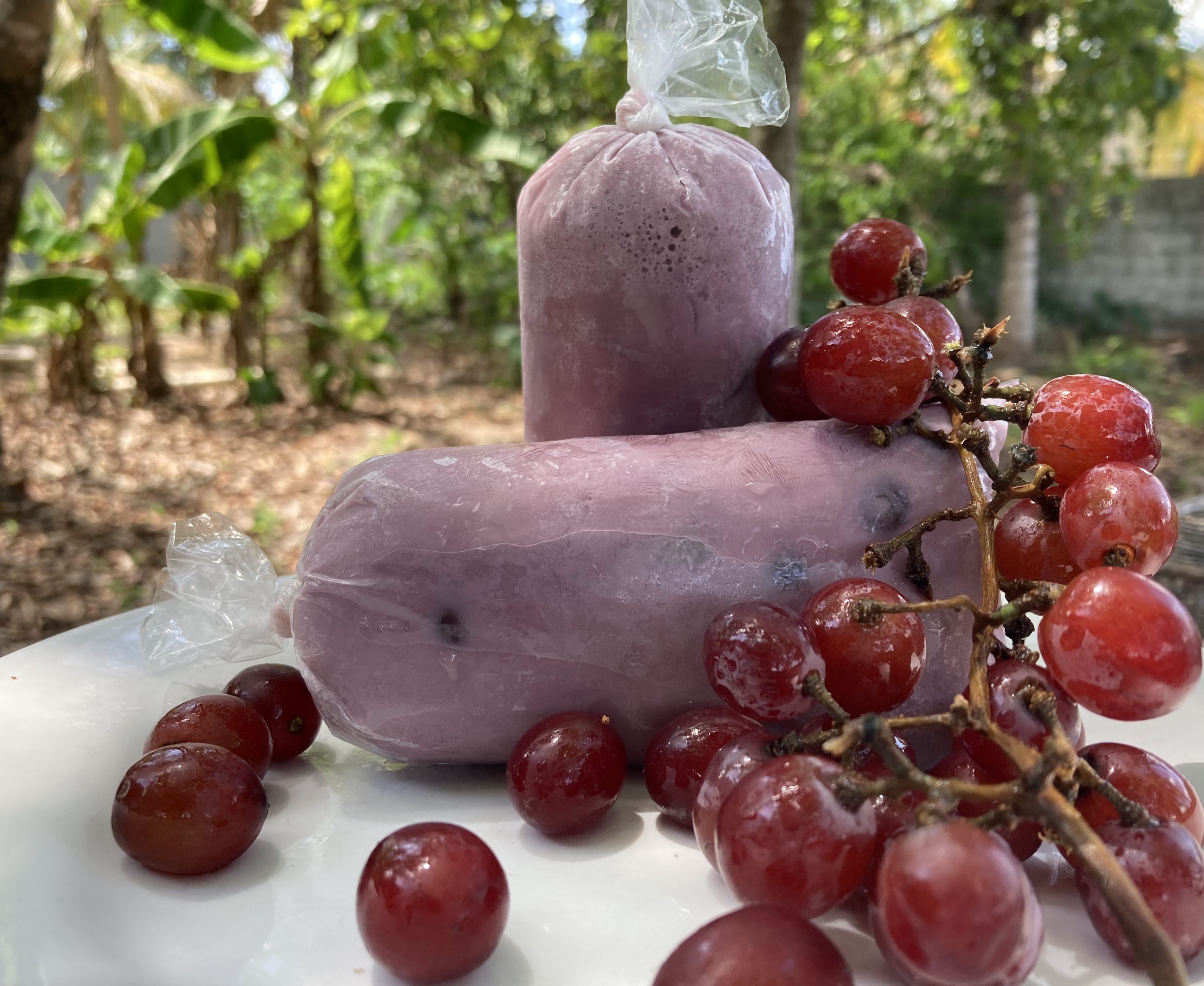 Bolis Gourmet Danny image 6