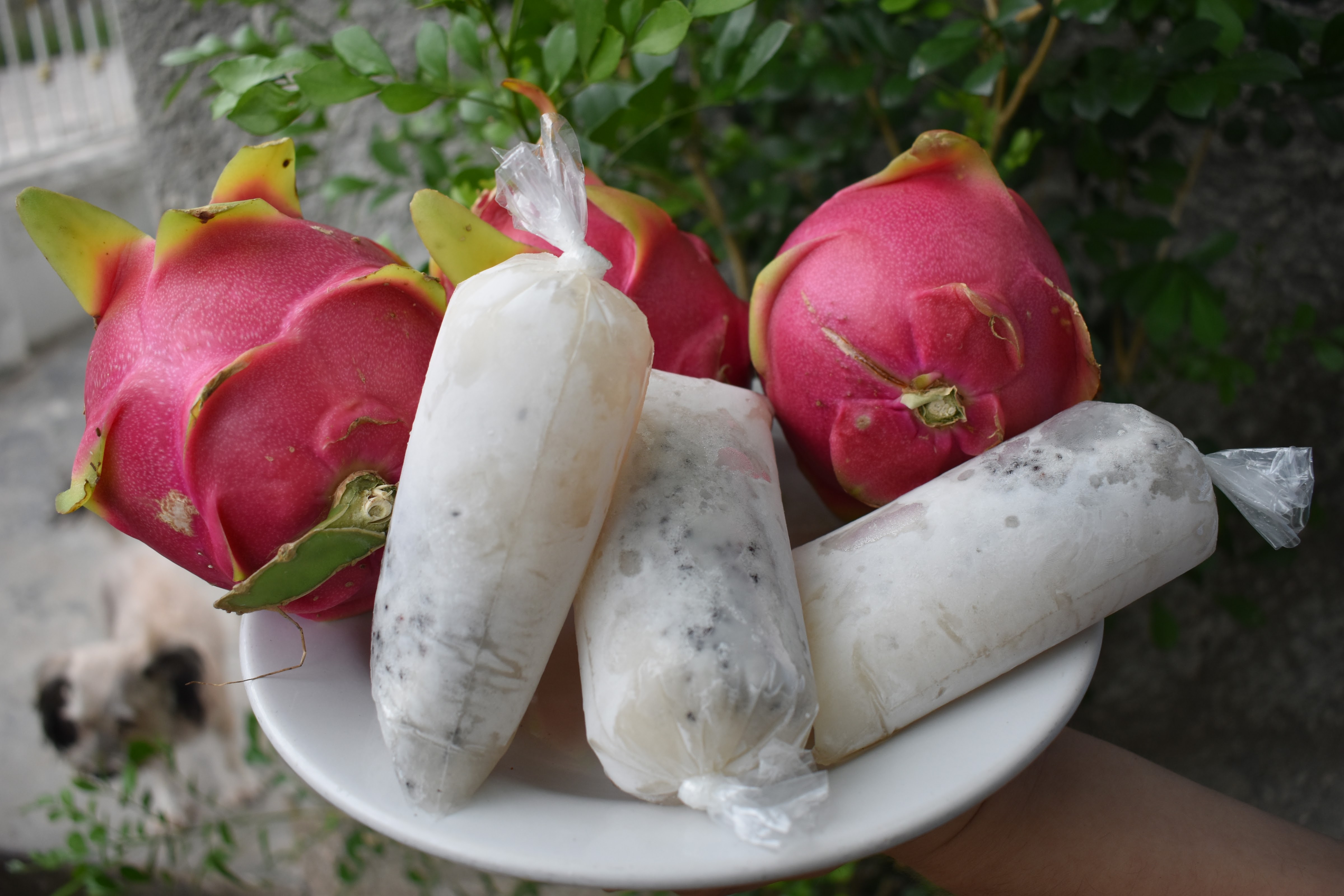 Bolis Gourmet Danny image 7