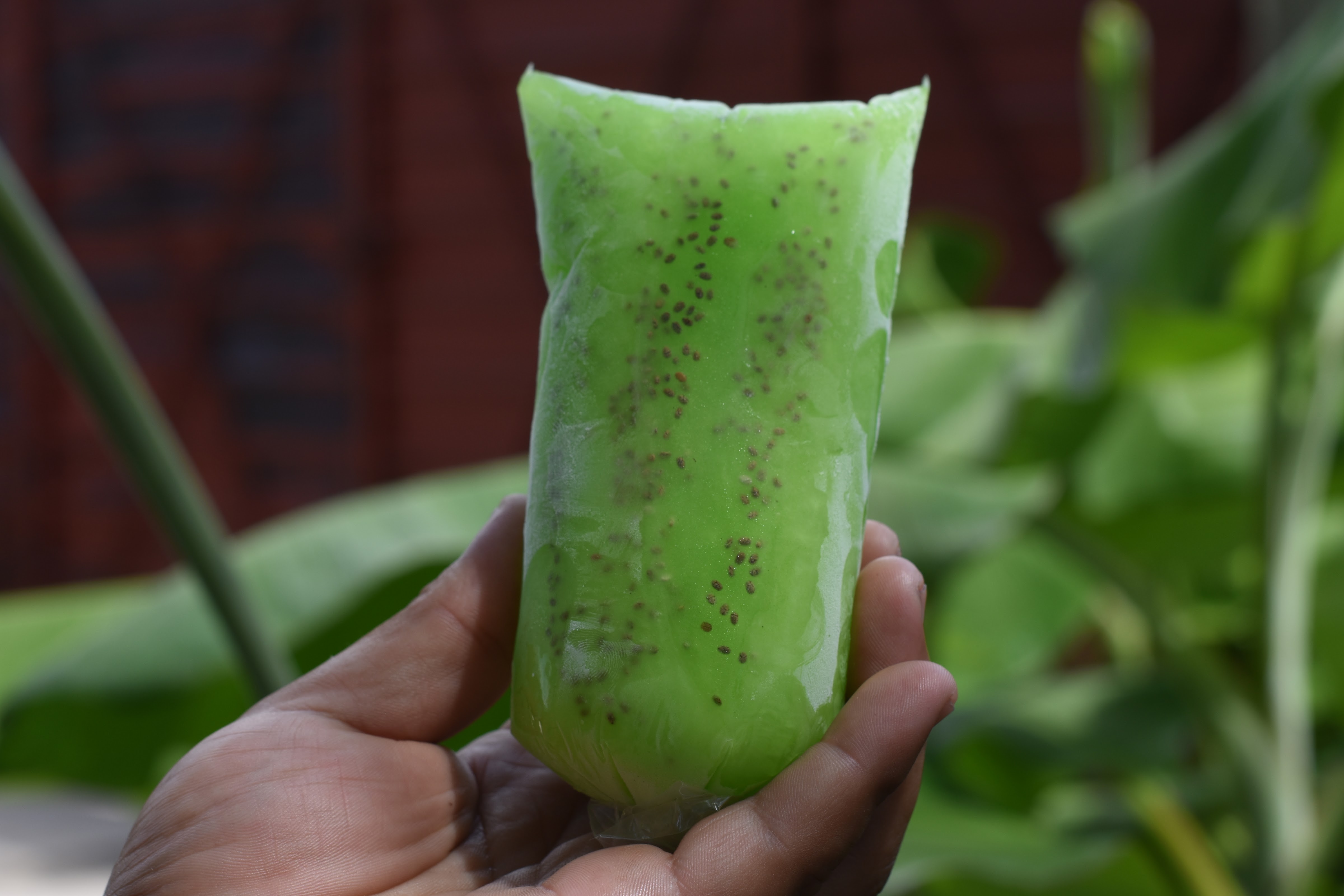 Bolis Gourmet Danny image 8