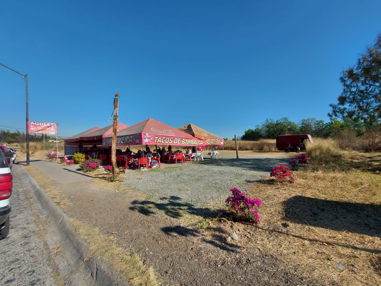 Tacos de barbacoa TALAVERA image 3