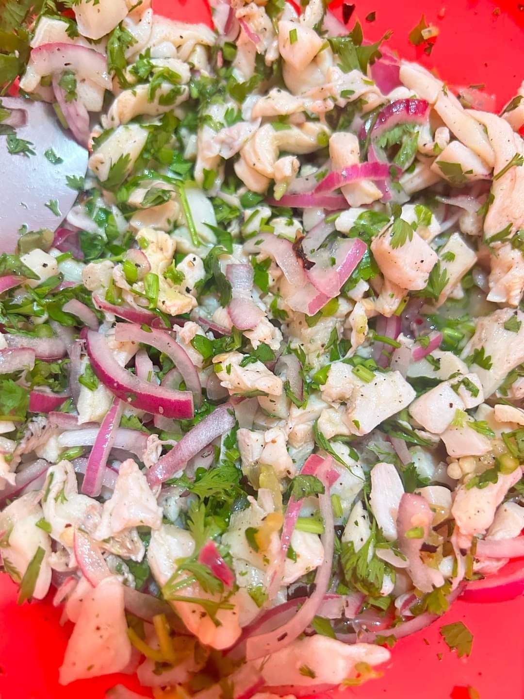 Mariscosdela20Dzidzantun image 3