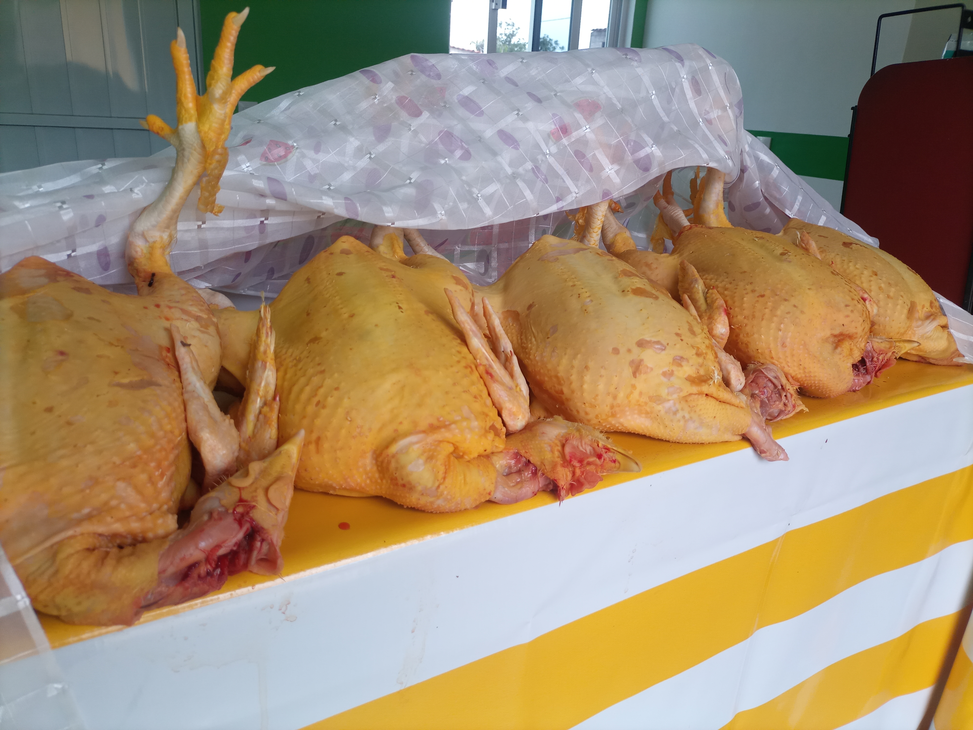 Pollería Juquilita vol.2 image 2