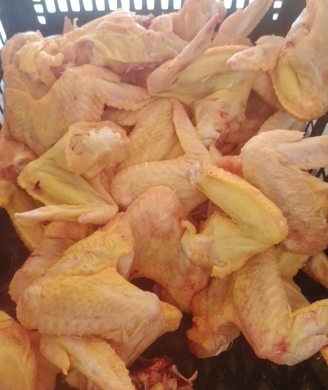 Pollería Juquilita vol.2 image 8